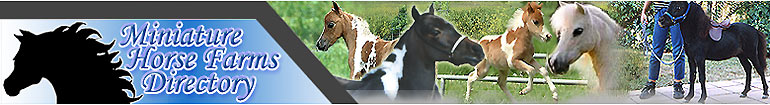 Miniature Horse Farms Directory, Mini Horse Directory