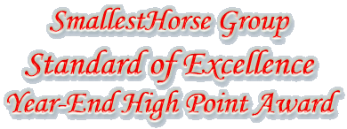 Standard of Excellence Year-End High Point Award